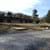 DSCN6215.JPG